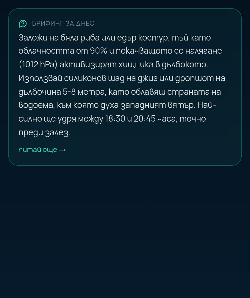 Брифинг за деня
